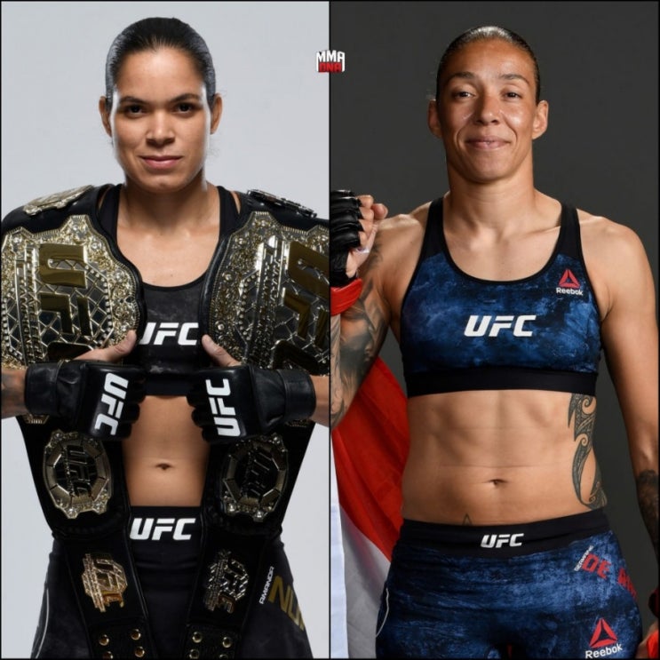 UFC 245 아만다 누네스 vs 저메인 드 란다미 2 UFC 245 아만다 누네스 vs 저메인 드 란다미 2