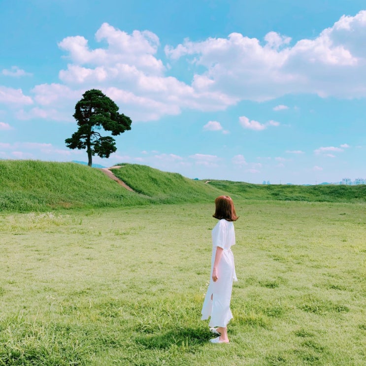  [충청북도 청주 여행] 나무가 예쁜 곳 정북동 토성 오근장역 가면 가볼 만한 곳인 것 같아요!