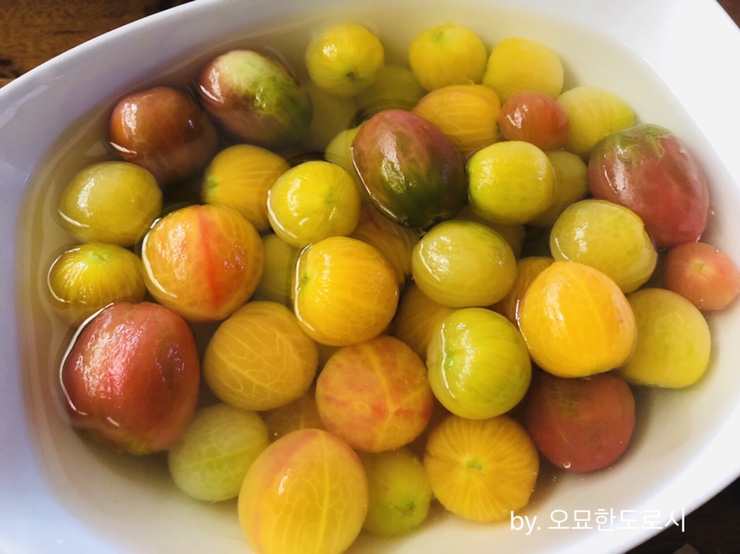  홀토마토를 만들다