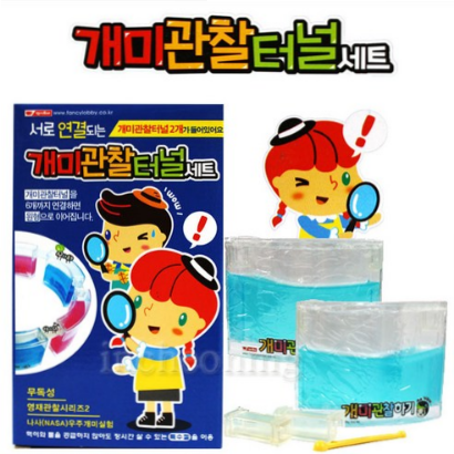  (20% 할인)7000 개미관찰터널세트 터널연결 개미키우기 영재관찰시리즈2개미키우기