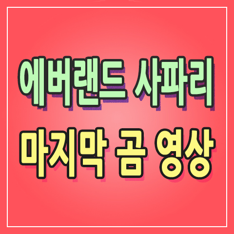  [에버랜드 사파리 월드] 건빵 먹는 곰 이제는 끝! 마지막 재주 부리는 곰 영상 