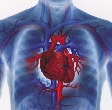 기능성신발 24HRS가 충격은 흡수하고 제2의 심장 발 기능을 강화해서 혈액순환도 좋아지고 척추와 관절을 교정한다구?