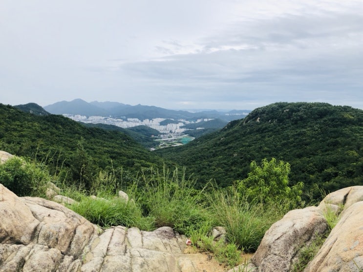  호암산 우중산행 ,계곡 & 주전장