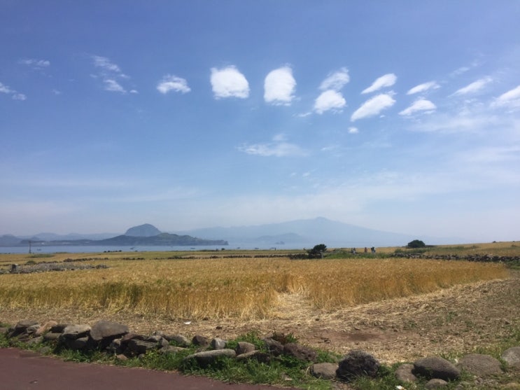  From.블로그씨 나중에라도 꼭 살고 싶은 정감 가는 동네가 있으신가요?