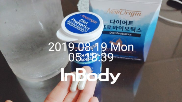  190819 유산균인증