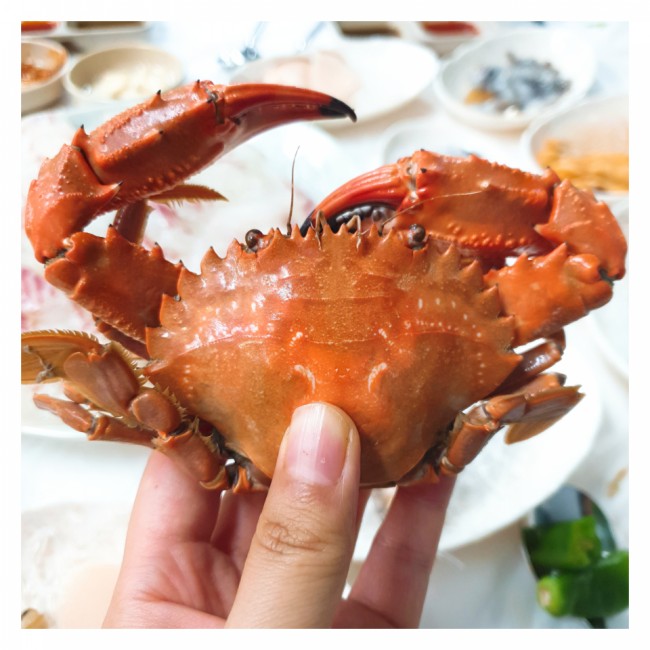  부모님과의 1박2일 호캉스 --영종도여행, 을왕리여행 (을왕리꾸덕집, 선녀바위해수욕장,RGB스카이호텔,구읍뱃터어시장, 황해해물칼국수, 인천공항 제2여객터미널,쉑쉑버거)