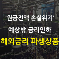  고위험 ‘해외금리 파생상품’ - “절반 이상 날린다”