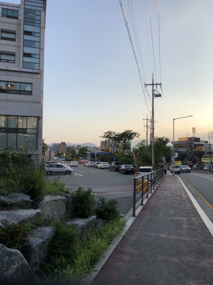  190818 심심한 백수의 8월 넷째주