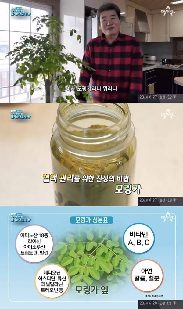 가수 진성의 건강 비결은?... '모링가' "공복에 먹지 말아야 해"
