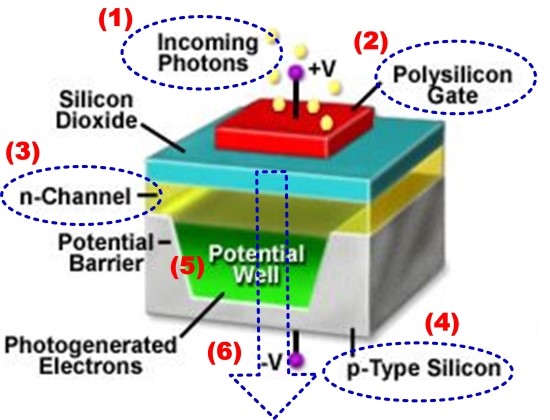  CCD 이미지센서(CCD Image Sensor)