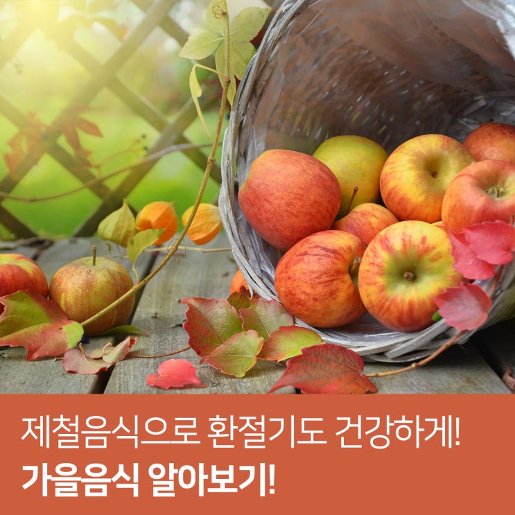  가을음식 제철음식으로 환절기도 건강하게!