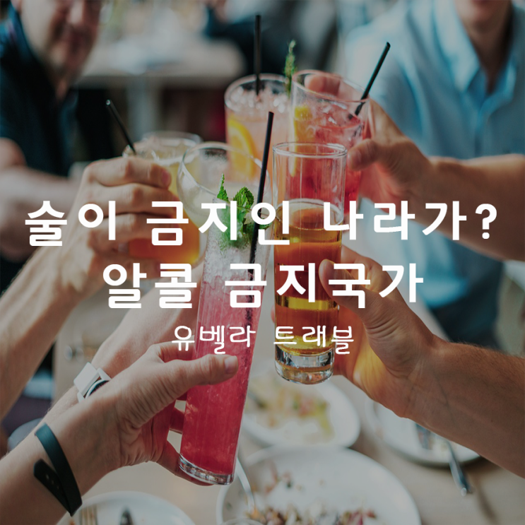  8. 주류 금지 국가들