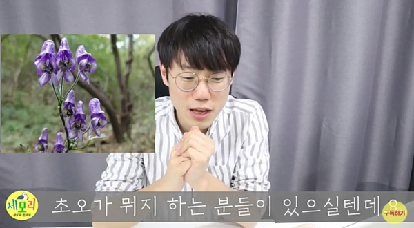  통증 완화 위해 초오 달여먹은 노인 잇따라 숨져…"초오는 사약에 쓰이던 독초"