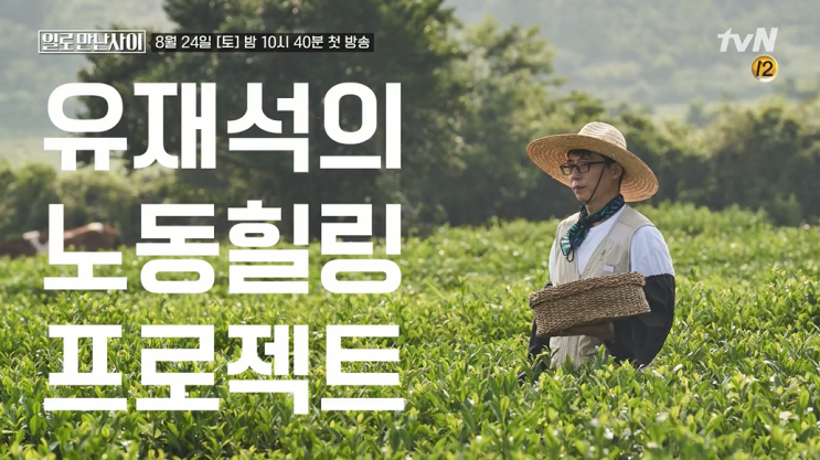  일로 만난 사이 유재석 이효리 새예능 기대된다