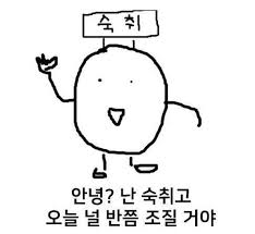  2019. 08. 18 (일) [호주 워홀 퍼스] 숙취 그리고 숙취
