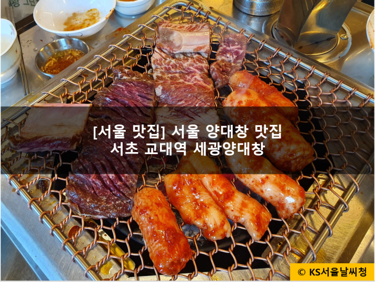 서울 양대창 맛집 교대 세광양대창 먹방 성공!