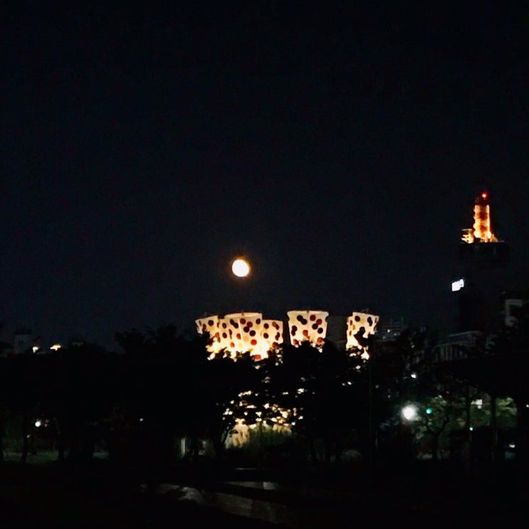  Fly me to the moon