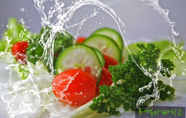 프리바이오틱스유산균 풍부한 식품 및 청혈밥 만드는 방법