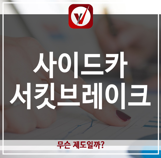  사이드카 서킷브레이커, 무슨 제도일까?