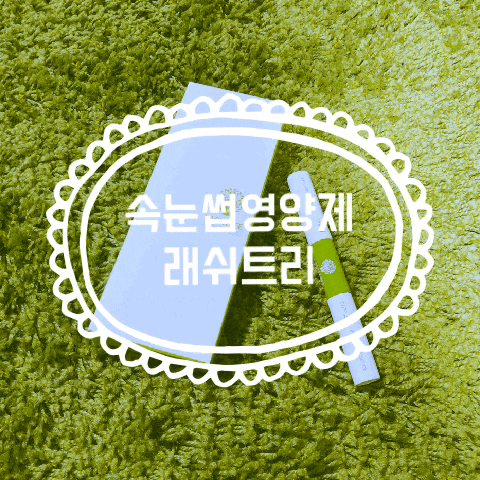 [속눈썹 영양제] 래쉬트리 _ Lash tree