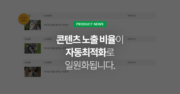  콘텐츠 노출 비율이 자동최적화로 일원화됩니다.