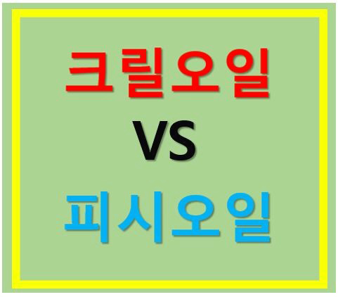  크릴오일 VS 피시오일 전격 분석!