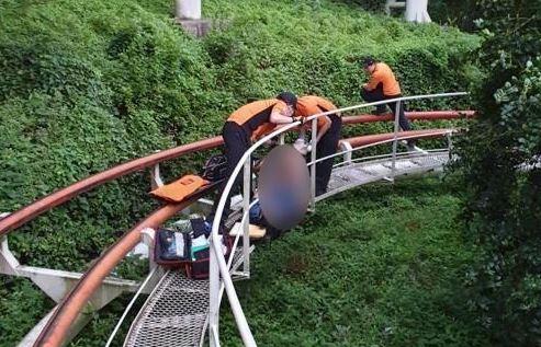  이월드서 다리 절단된 알바생, 접합 수술 실패…"손상·오염 심각"