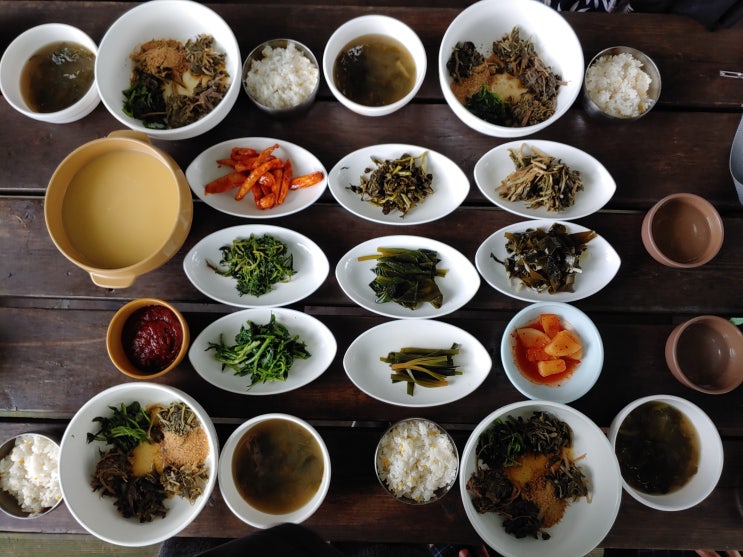 울릉도 나리분지 산채비빔밥 맛집 | 나리촌식당 vs 산마을식당 비교