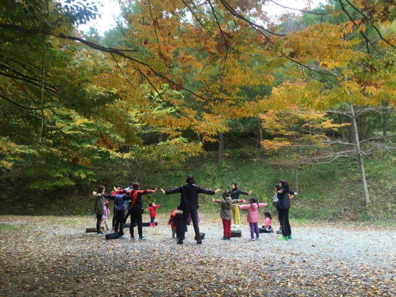 이수산림 이미지