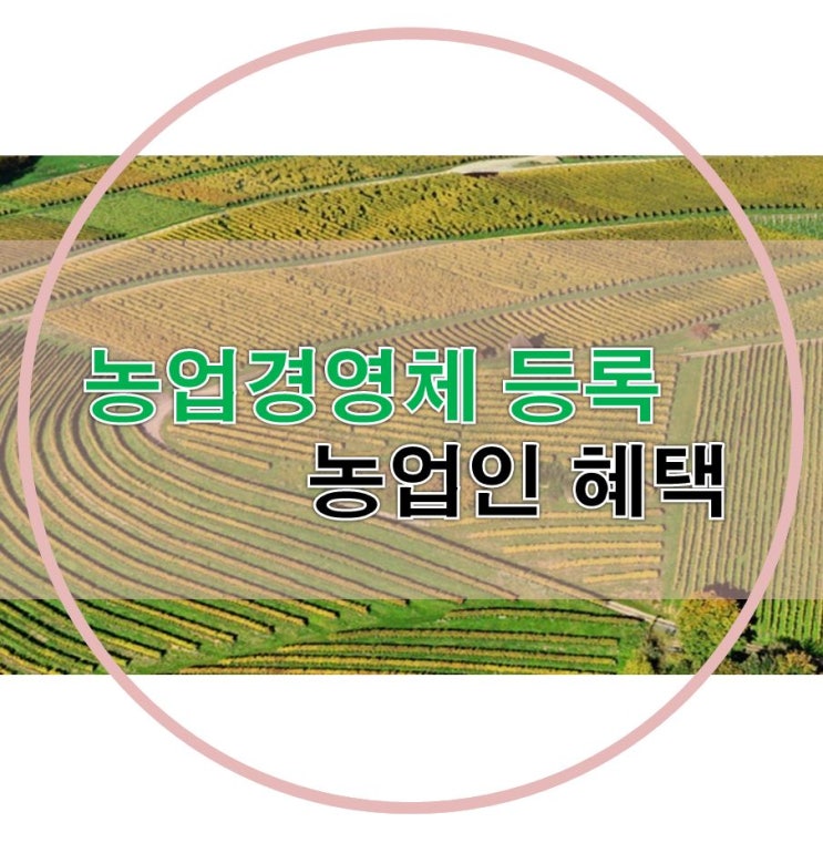  농업경영체 등록과 혜택