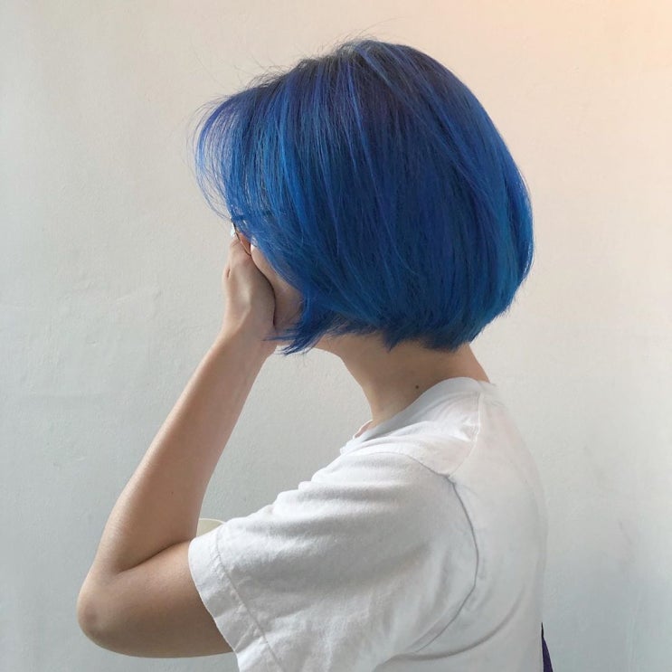 [순수 스타일북] 블루 염색, 파란 염색, 코발트 블루 염색