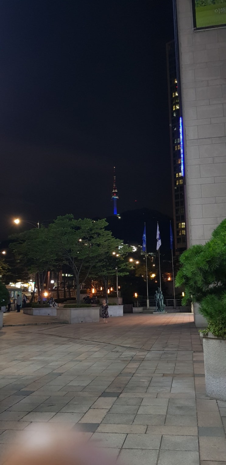  서울 코엑스&롯데타워 방문후기