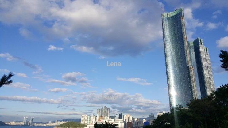  [오늘의날씨]부산해운대 주간날씨 변천사
