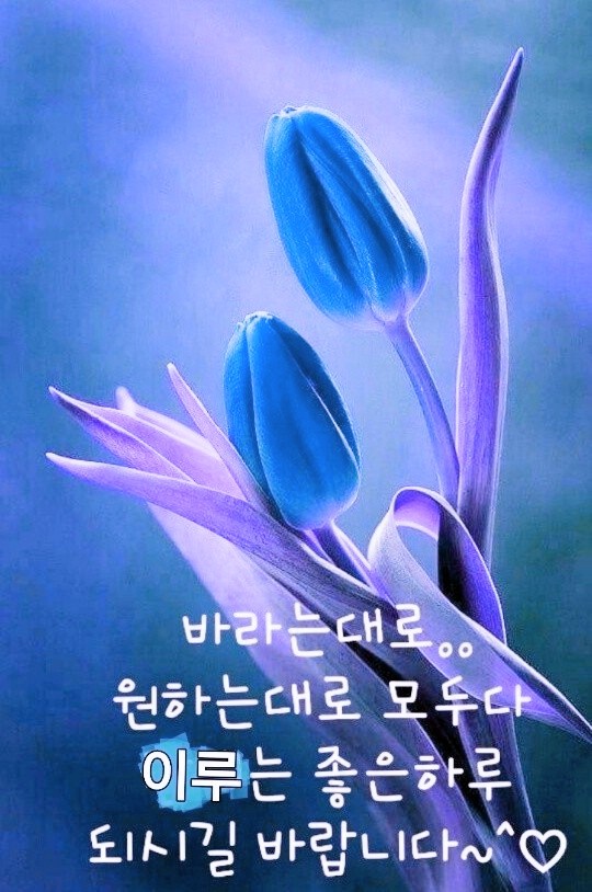  '수천억 손실' DLS가 뭐길래… 우리·KEB하나은행 조사 착수