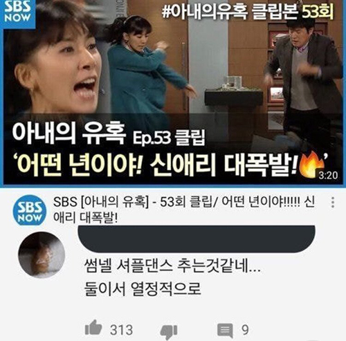  싸우지만 내 눈에는 열심히 춤추는걸로만 보임