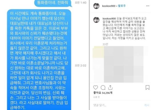 3년만에 파경 구혜선 - 안재현