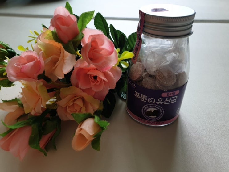  씹어먹는 유산균 너무 맛있는 자온 푸룬앤유산균