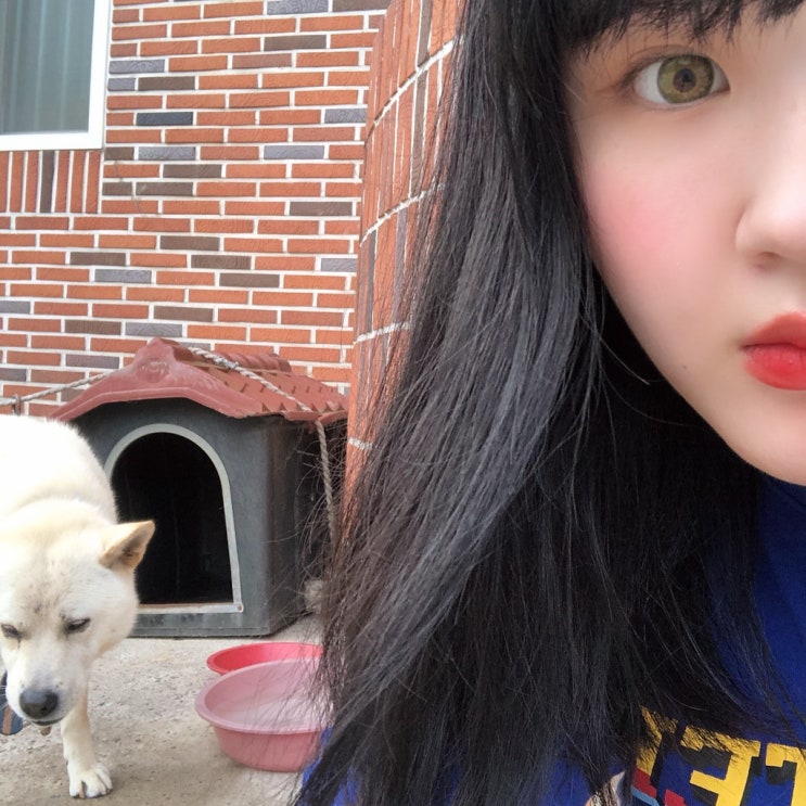  우당탕탕