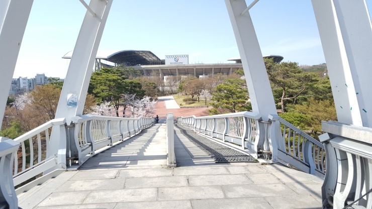  수원 월드컵 경기장