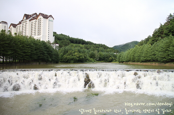  평창 용평리조트 - 2박 3일 피서, 그린피아 콘도, 맘마미아밴드 콘서트, 드래곤 플라자, 발왕산역