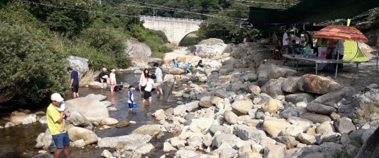  '불청'계곡 고령에 있는 계곡 상비리계곡