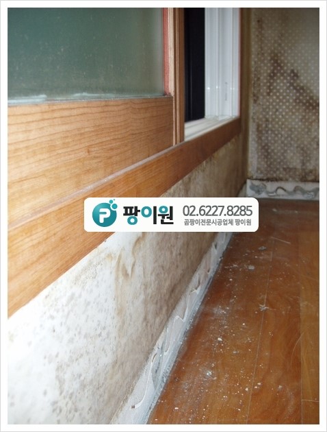  곰팡이냄새? 원인 파악부터~