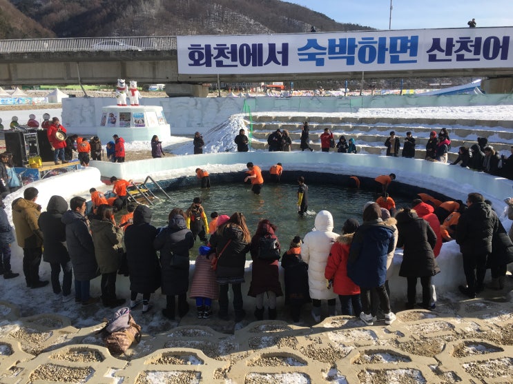  화천 산천어 축제