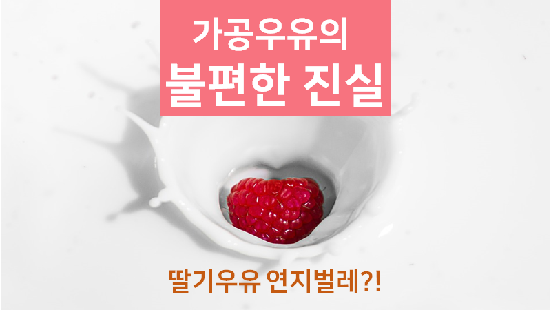 딸기우유 연지벌레, 가공우유의 불편한 진실 : 네이버 블로그