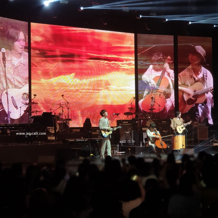  슈퍼밴드 콘서트 in 부산 2019.08.17 (호피폴라 위주의 후기)