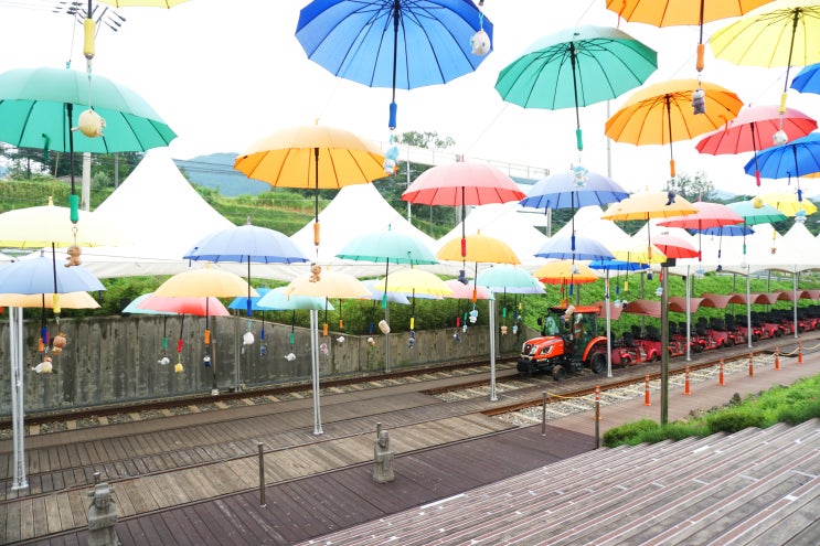 아기와함께 김유정역 레일바이크 너무 재미나요