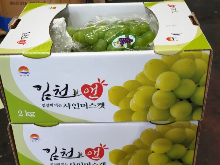  일명 망고포도,과일계의 방탄소년단 샤인머스켓