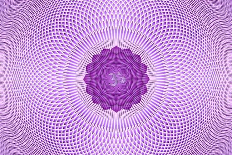  정문안(頂門眼), 하나임Oneness을 보는 눈