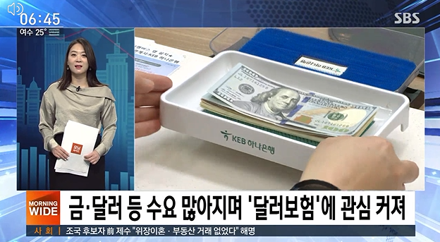 [친절한 경제] 인기 신상 '달러 보험', 원금손실 위험 있다 출처 : SBS 뉴스