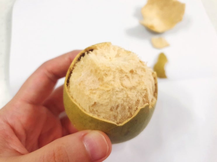  [앙쥬러브]까리노단백질 원재료 나한과 를 아시나요?
